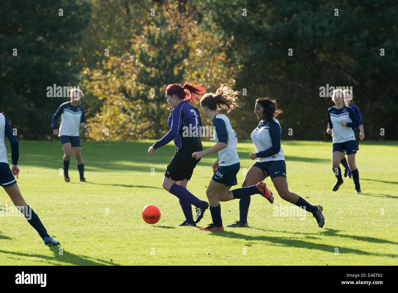 University sport UK, women`s football. Stock Photo